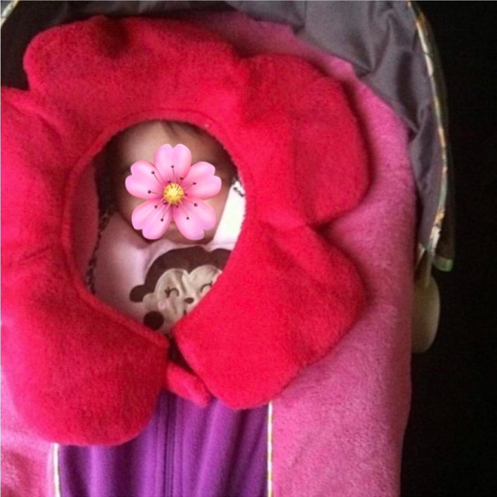 BabiesRUs Pink Infant Car Seat Carrier Cover